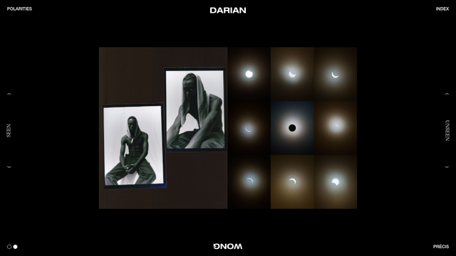 darianwong.com