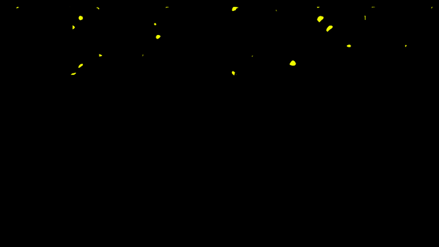 www.tilljanz.com