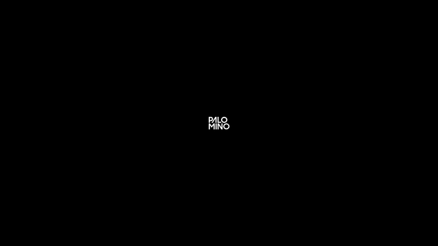 www.plmn.tv