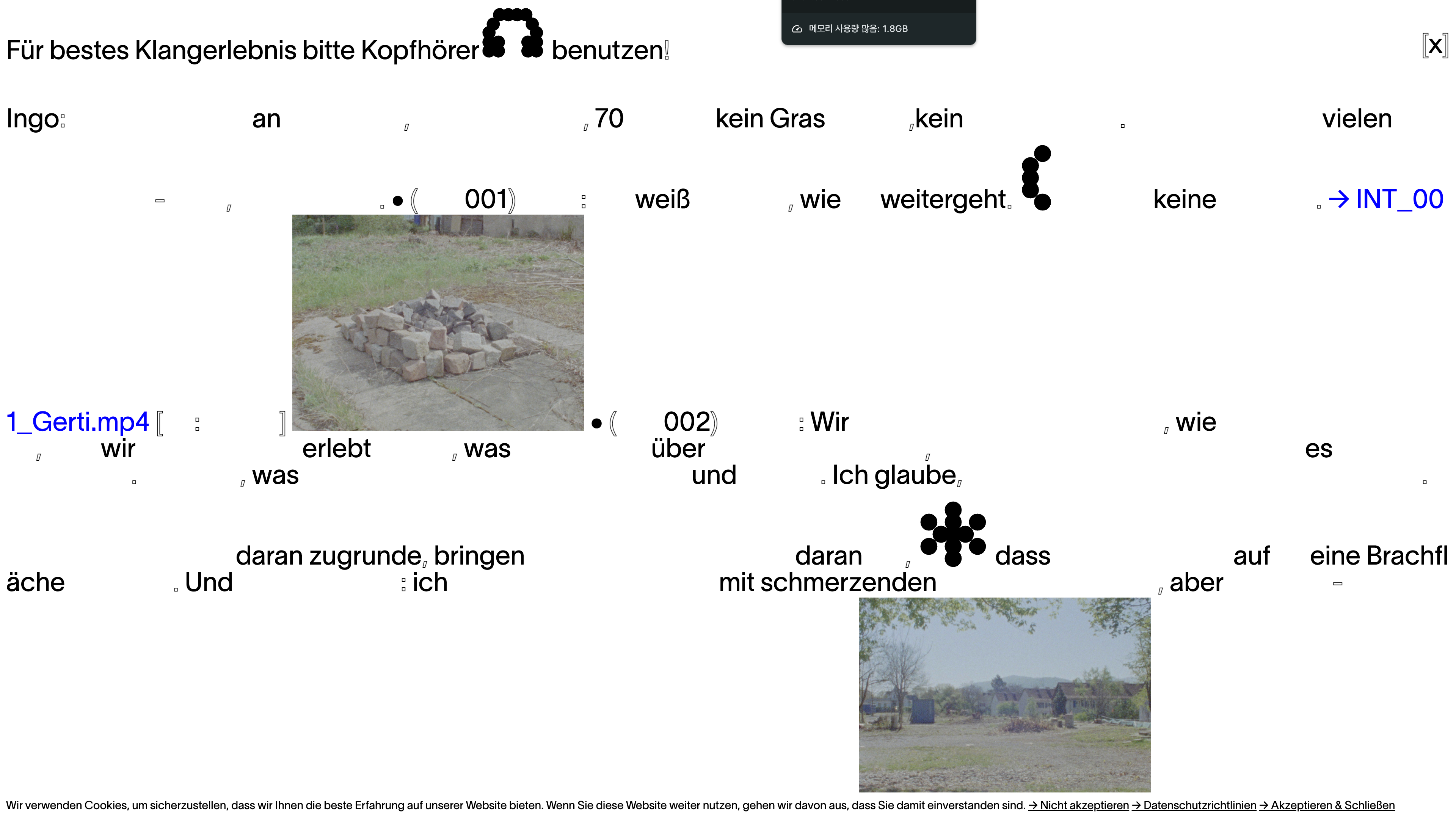 www.brachundwild.com
