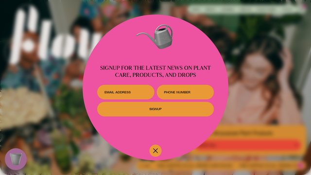 flourishplant.com