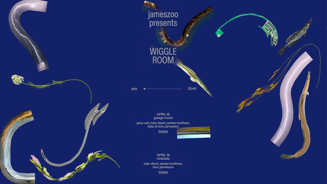 wiggleroom.jameszoo.com