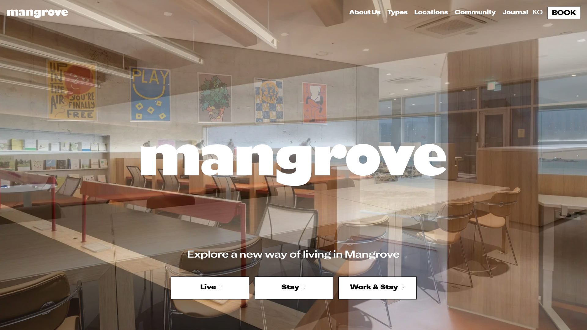 mangrove.city